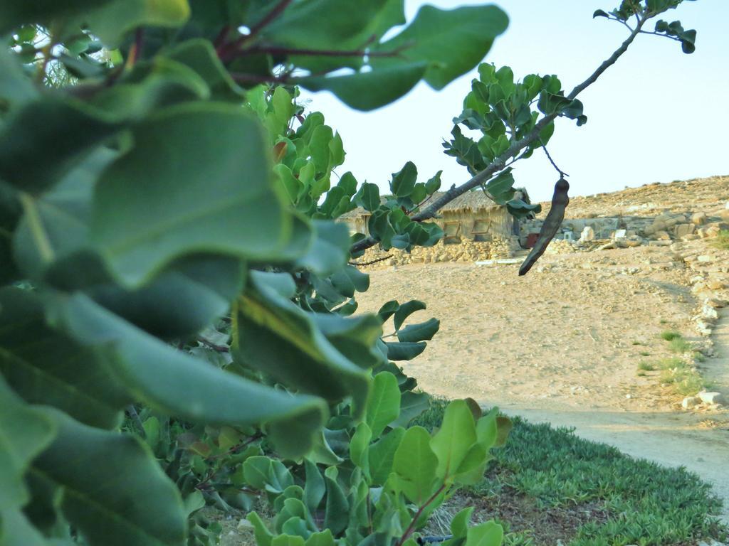 Succah In The Desert Mitzpe Ramon Esterno foto