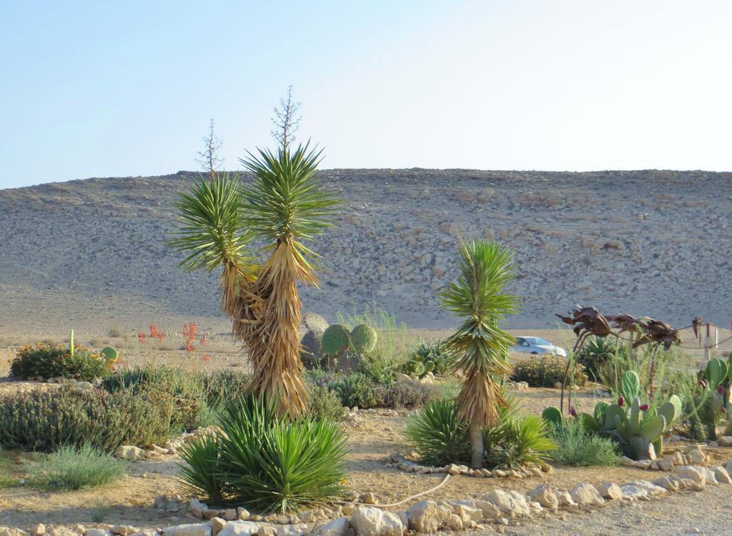Succah In The Desert Mitzpe Ramon Esterno foto