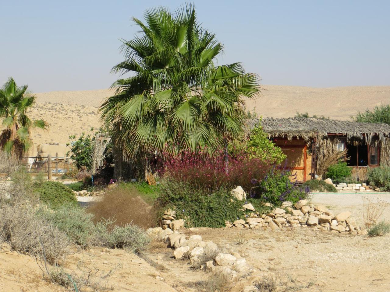 Succah In The Desert Mitzpe Ramon Esterno foto